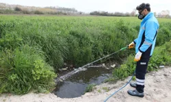 Sakarya ekipler zararlı vektörle mücadeleyi sürdürüyor