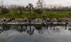 Temiz Körfez için Gediz vurgusu