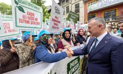 Avrupa'da eylem, Kocaeli'de şenlik var