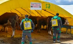 Başkent'te kurban alanlarına sıkı denetim