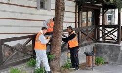 Kayseri Talas'tan çevre dostu ilaçlama atağı