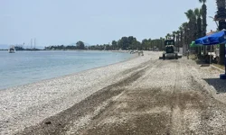 Muğla Milas'ta belediye ekipleri şehrin dört bir yanında