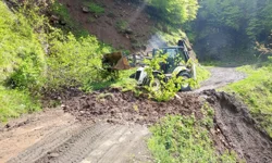 Ordu'da kuvvetli yağış sonrası 120 heyelan
