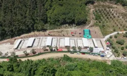 Bursa Gemlik'te sahipsiz hayvanlara modern yaşam alanı