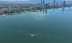 İzmir Körfezi'nde 14'üncü kirlilik tespiti