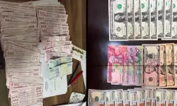 İzmir merkezli 12 ilde FETÖ'ye 80 gözaltı!