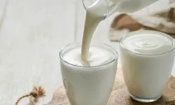 Ticari toplanan süt geriledi... Ayran ve kefir üretimi arttı