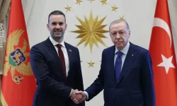 Erdoğan, Karadağ Başbakanı Spajiç'i kabul etti... Türkiye-Karadağ ilişkileri ele alındı