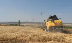 Eskişehir'de 77 tonluk arpa hasadı