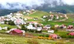 Ordu'da Çambaşı Yaylası'nda festival coşkusu