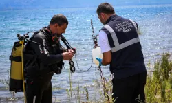 SASKİ'den Sapanca Gölü'ndeki alg oluşumuna açıklama: İçme suyu açısından risk yok
