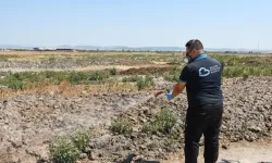 Balıkesir'de ilaçlama ekipleri sahada