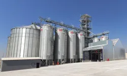 Lisanslı depolara kapasite ve silo şartları değişti
