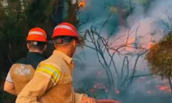 Orman yangınlarında 46 şüpheli tespit edildi! 12 kişi tutuklandı