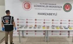Edirne kapılarında uyuşturucu sevkiyatına darbe