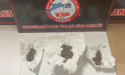 Keşan'da uyuşturucuya 2 gözaltı