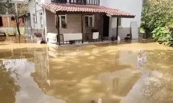Düzce'de sağanak yağış su baskınlarına neden oldu