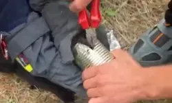 Kayseri itfaiyesinden kediye özel yardım