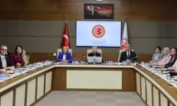 KEFEK'te başkanvekilliğine Gamze Taşcıer seçildi