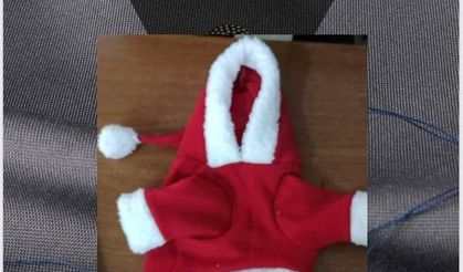 ROWENA 2025 YILINA İDDİALI GİRİYOR...