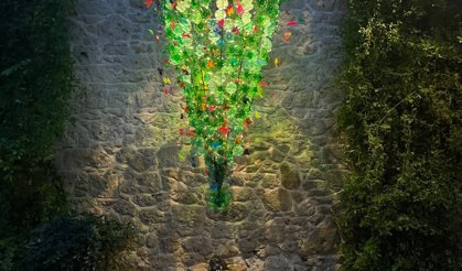 Tepe Taklak Ağaçla