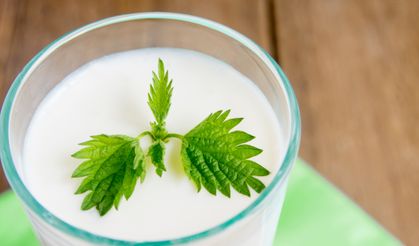 Araştırmalara göre süt ürünleri, susuzluğu gidermede etkili bir seçenek