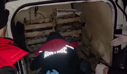 İzmir'de yasadışı avcılığa karşı sıkı önlem