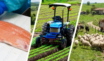 IPARD III'te yeni takvim açıklandı... Kırsala 241 milyon avroluk dev hibe