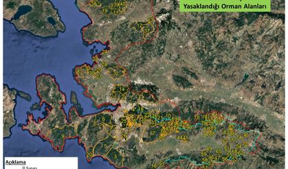 İzmir'de  orman yangınlarını önlemek için valilik kararnamesi...