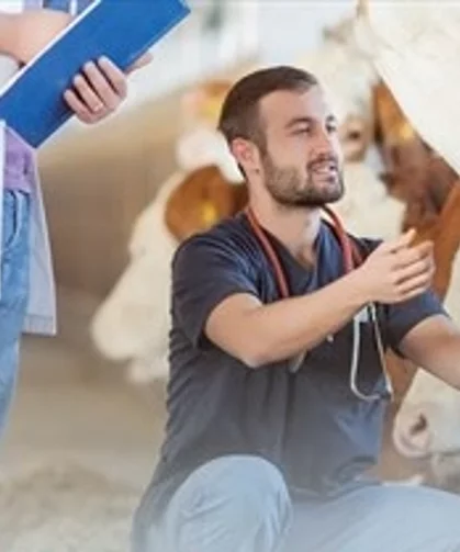 Denizli Büyükşehir'den üreticiye sahada destek