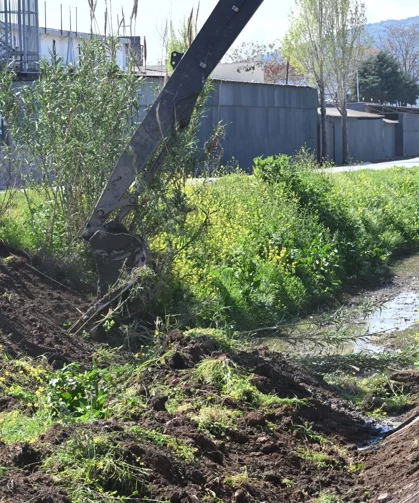 Manisa Akhisar'da dere temizliği