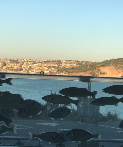 "Villa Akvaryumu" Turizmin ve Ekolojinin Cazibe Merkezi Oldu…