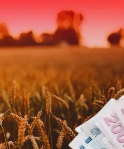 TMO'dan üreticilere 4,2 milyar liralık ürün bedeli ödemesi