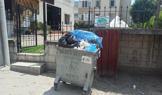 Bursa'da Odunluk Mahallesi çöp ve koku problemiyle karşı karşıya