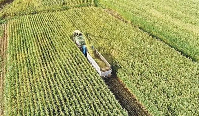 Tarım Arazilerini Etkinleştirme projelerini destekleyecek karar Resmi Gazete'de
