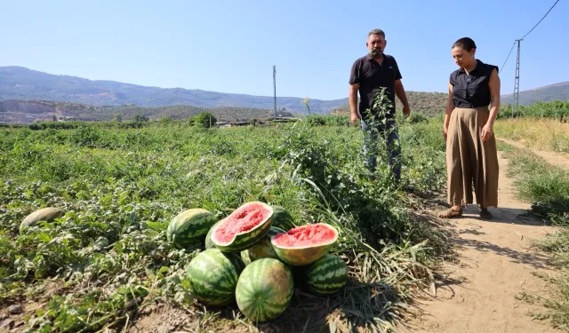 Üretici çaresiz, belediye destekte