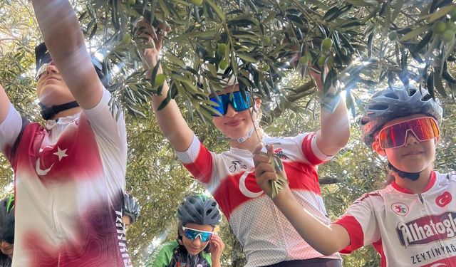 Haydi Türkiye, Kalp Kırma Zeytin Kır