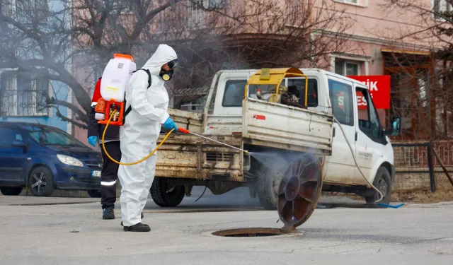Haşerelere karşı etkin mücadele