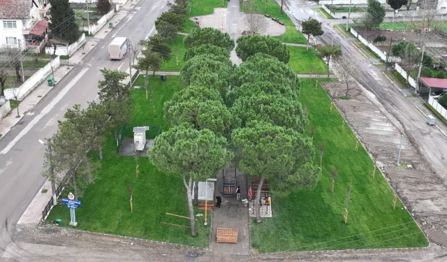Sakarya Büyükşehir'den Söğütlü'ye yeni yaşam alanı
