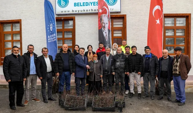 Bursa Büyükşehir'den üreticiye fidan ve tohum desteği