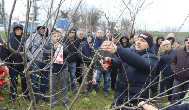 İzmit'te üreticilere uygulamalı budama eğitimi