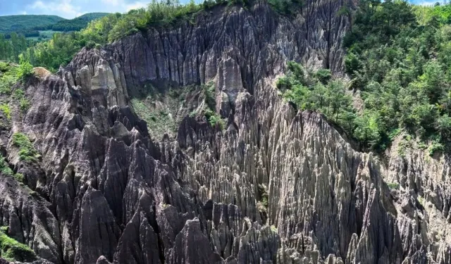 Korunan alan sayısı 692'ye yükseldi