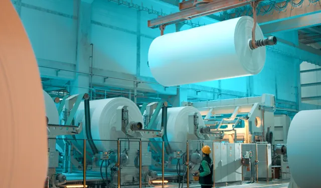 Lila Kağıt, 2025'i güçlü finansal performansla kapattı