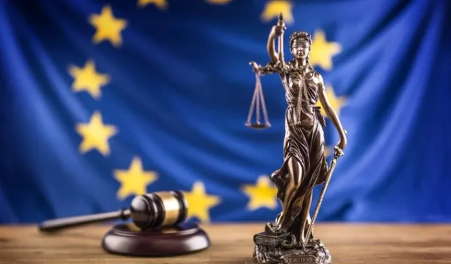 AB Türkiye Delegasyonu, İBB davasını gözlemci olarak izliyor.