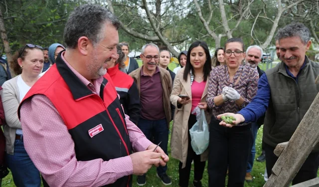 Bursa siyahı incirde sıkı denetim