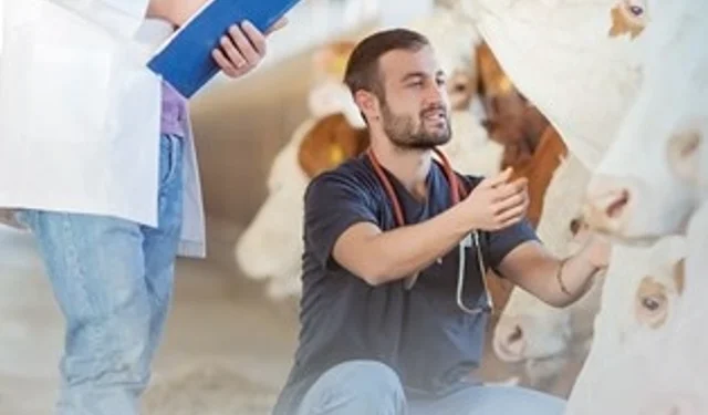 Denizli Büyükşehir'den üreticiye sahada destek