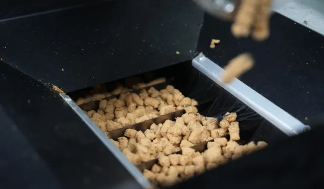 Eskişehir'de atık yemekler mama oluyor