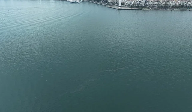 İzmir Körfezi'nde dış kaynaklı kirliliğin önüne geçilemiyor