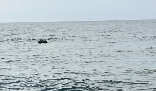 Karadeniz'deki şüpheli mayın SAS timlerince imha edildi!