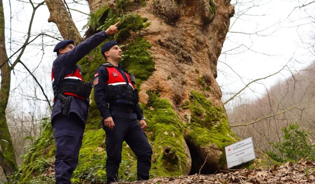Yalova'da Jandarma turizm bölgelerinde güvenliği artırdı